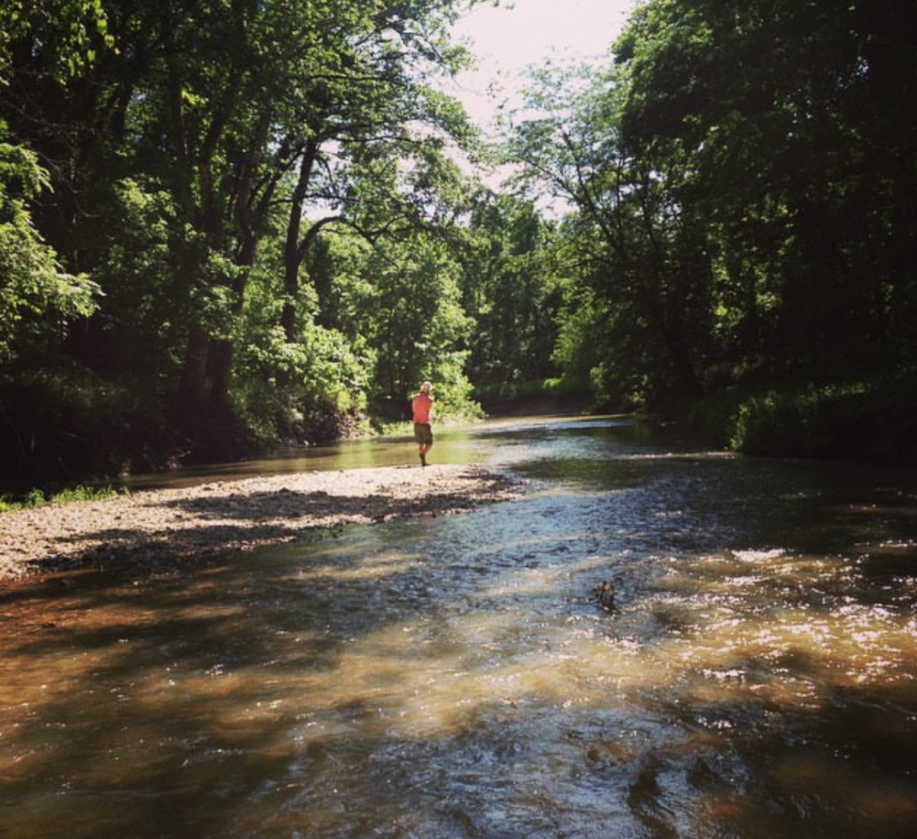 COMMUNITY INVESTMENT OPPORTUNITIES